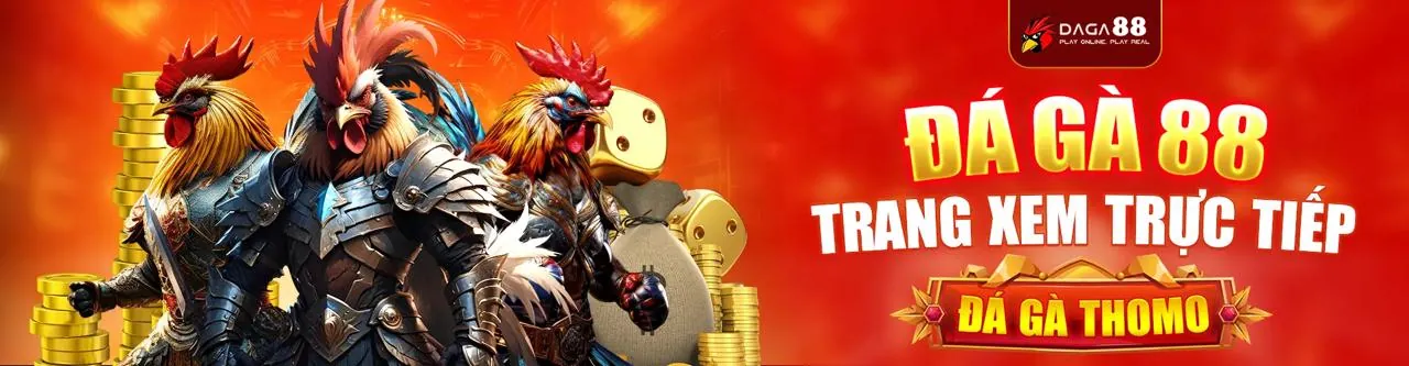 Hướng dẫn cá cược trực tuyến cho người mới bắt đầu tại 97win nhà cái