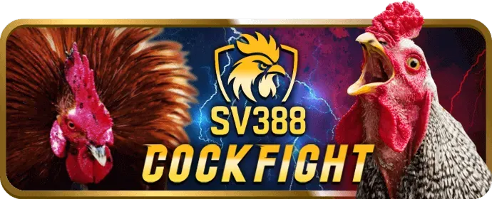 Khuyến mãi 97win nhà cái