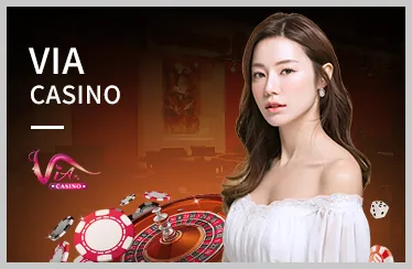 Cá cược thể thao 97win nhà cái